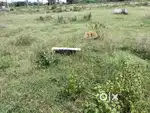 Jigani near Surya City phase 4 Nasoonur Village BMRD 11b khata