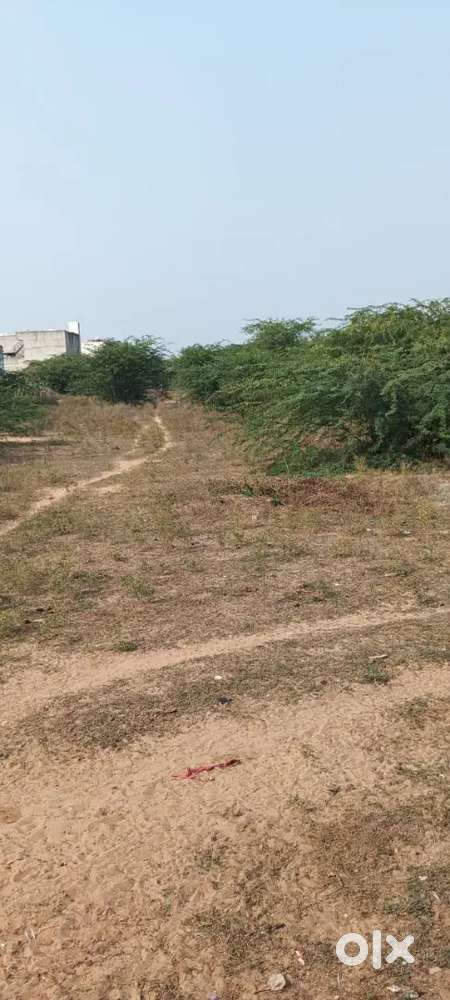 I want my land very soon