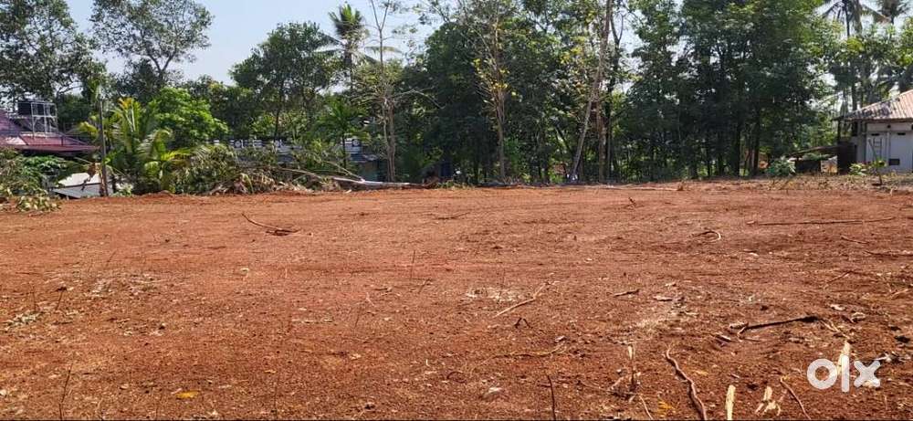 6, 9, 15 cent House plot for sale in Pampakuda