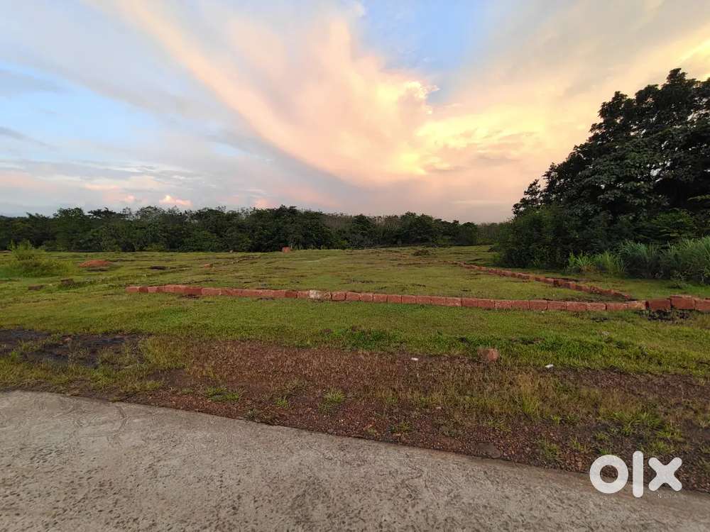 10cent house plot Peringome ഇരട്ടകുളം