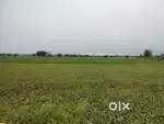 100 Sq yards Open Plot  For sale