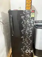 Haier Single Door Fridge - 5 Star rating
