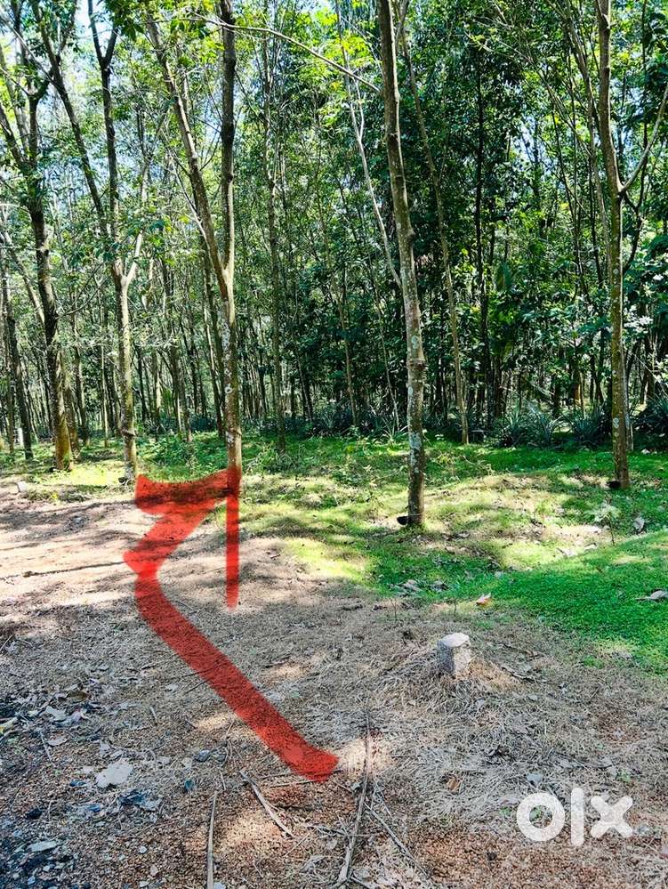 Plot for sale 5 cent near mekkamandapam