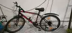 URBAN TERRAIN CYCLE 8 MONTHS OLD
