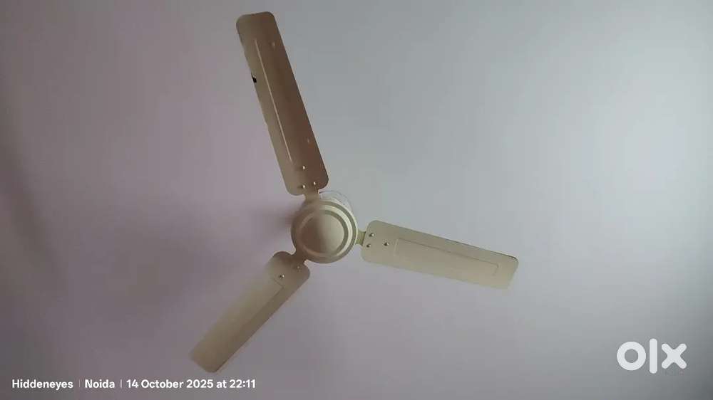 Anchor ceiling fans for sale