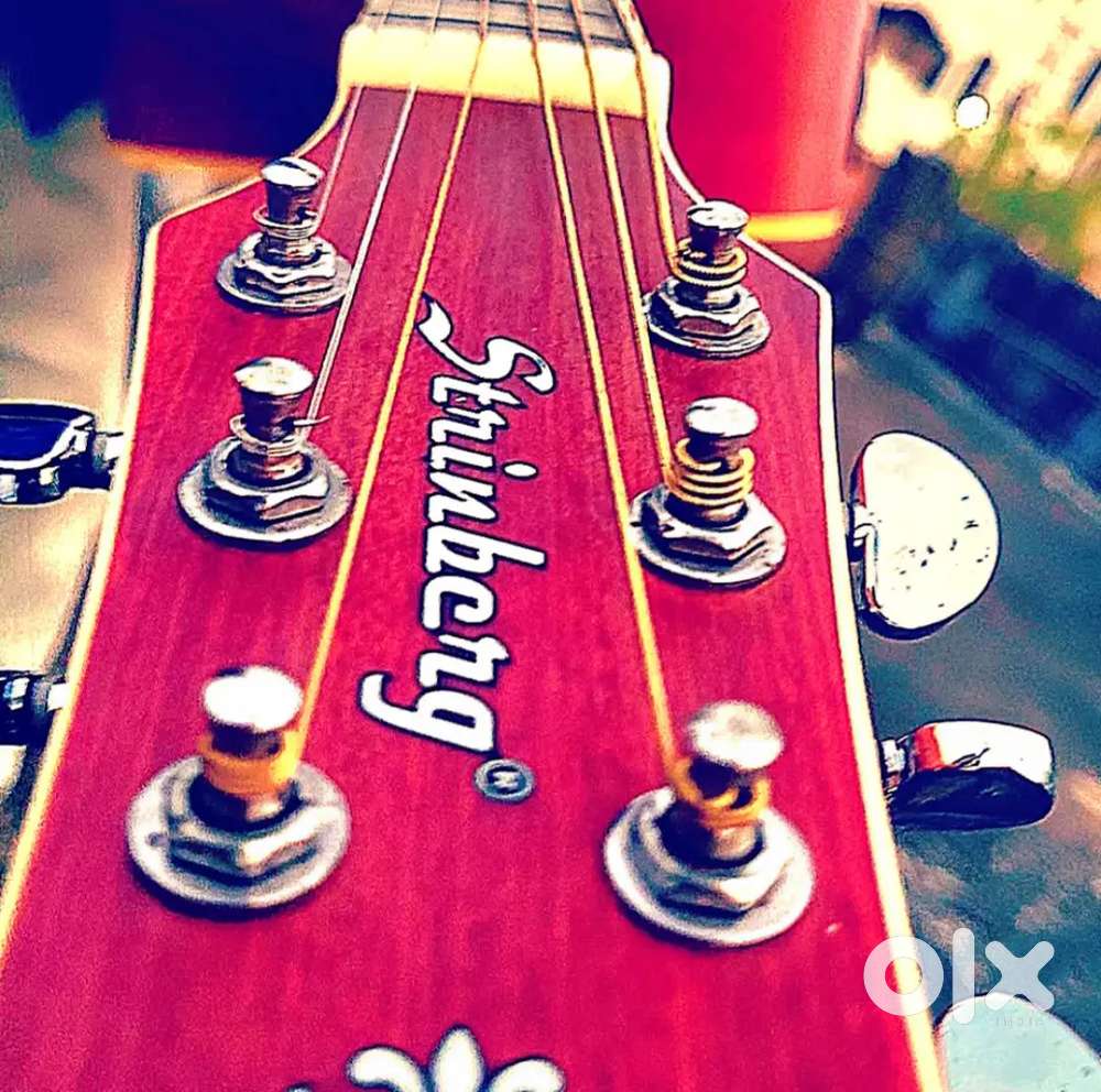 Strinberg Guitar