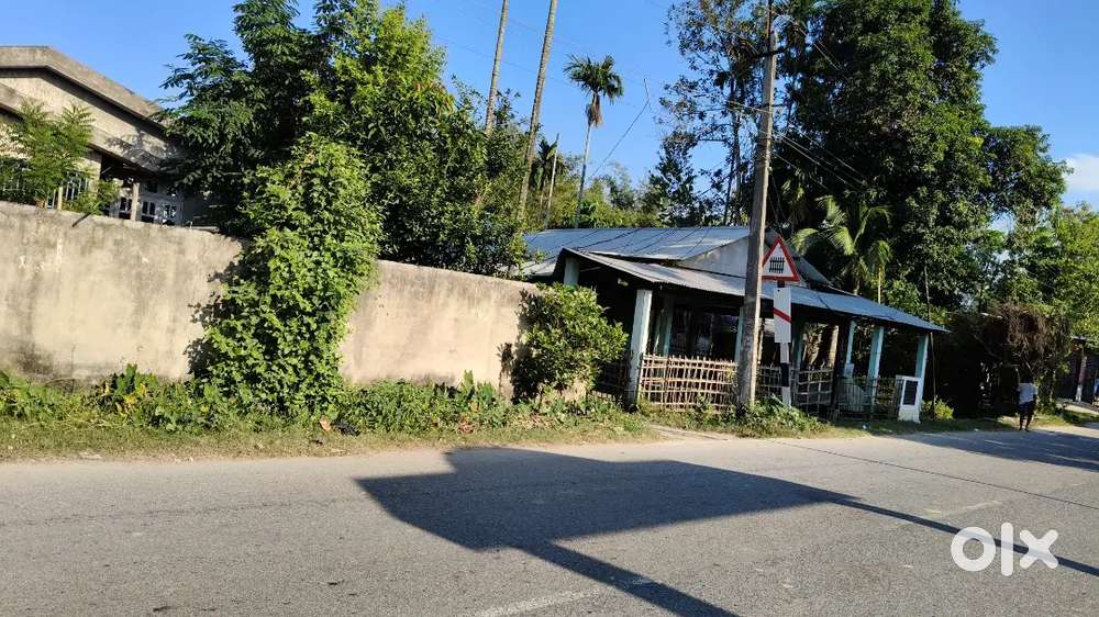 One katha miyadi patta land with Assam type house near highway