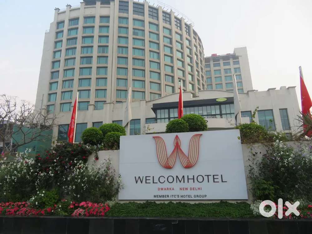 Weekly cash Payment waiter jobs