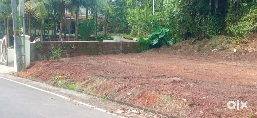 Plot for Sale at Dharmadam, Beach road