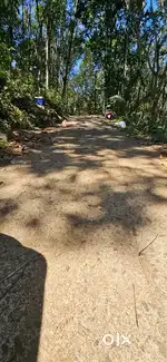 1 acre rubber plantation at Manimala pullikkallu