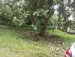Aluva uc college 9 cent orginal land