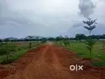 Premium resort's plots for sale nearby tirupati