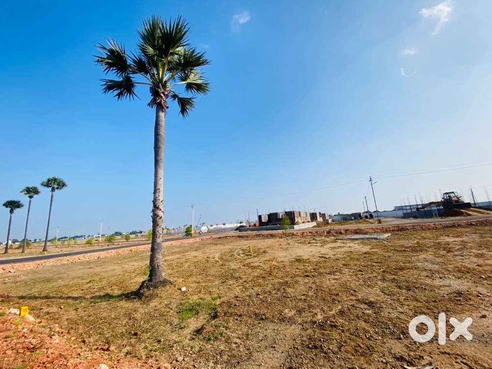 3 cents rectangle plot near Thoothukudi Airport