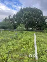 Plot for sale on Near Beed by pass road  2500sq.ft.  Residential