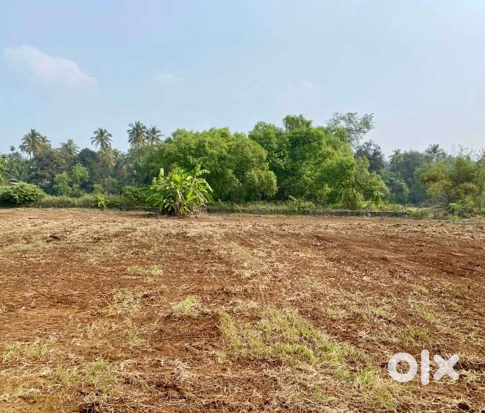 Agricultural Land for Sale in Alibag, Revdanda