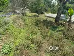 Selling land
