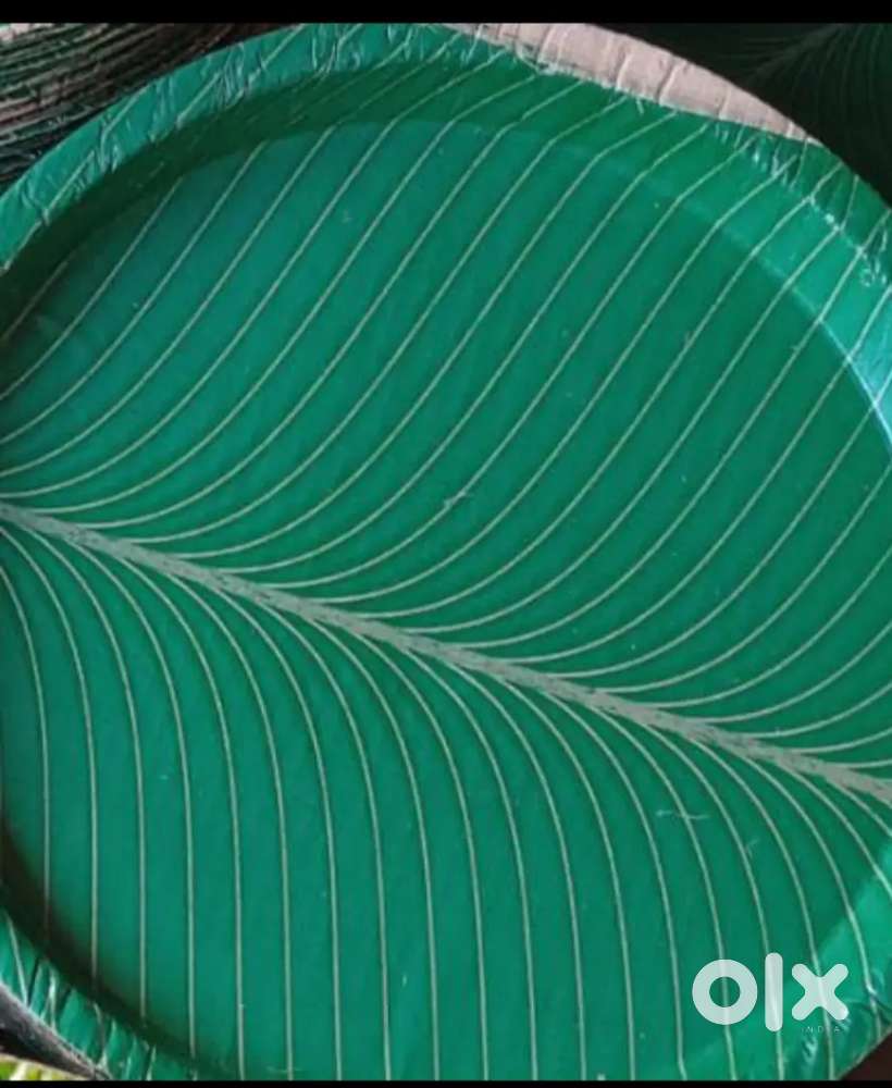 Green paper plate Vellore