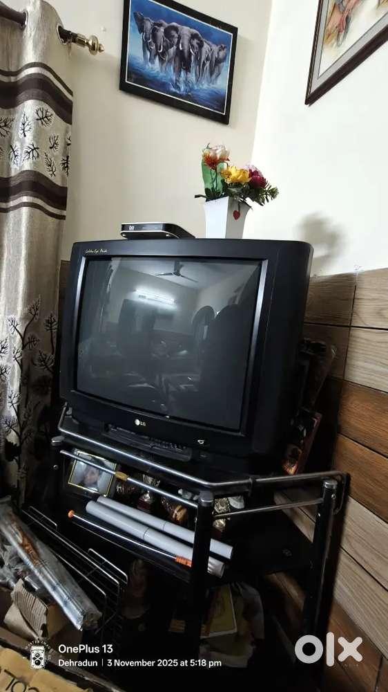 LG Golden Eye Pride TV