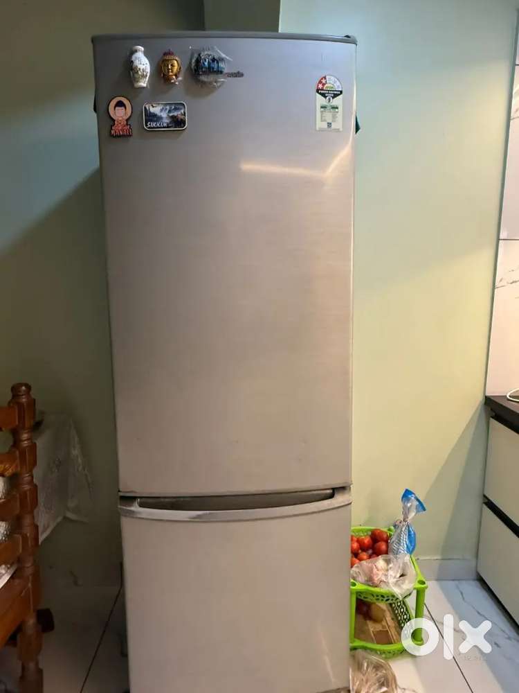 Double Door Fridge