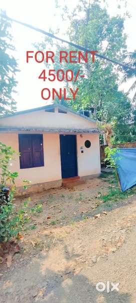 HOUSE FOR RENT SMALL BUDJET