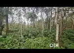 Hassan, 28 km from Hassan city - Land Area: 37 guntas