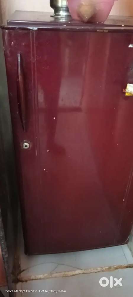 Kelvinator Fridge