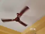 Pollar Celling Fan