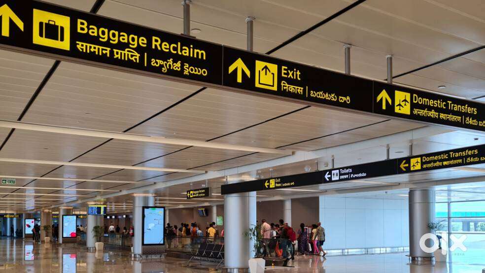 Required Airport Cabin Crew Job