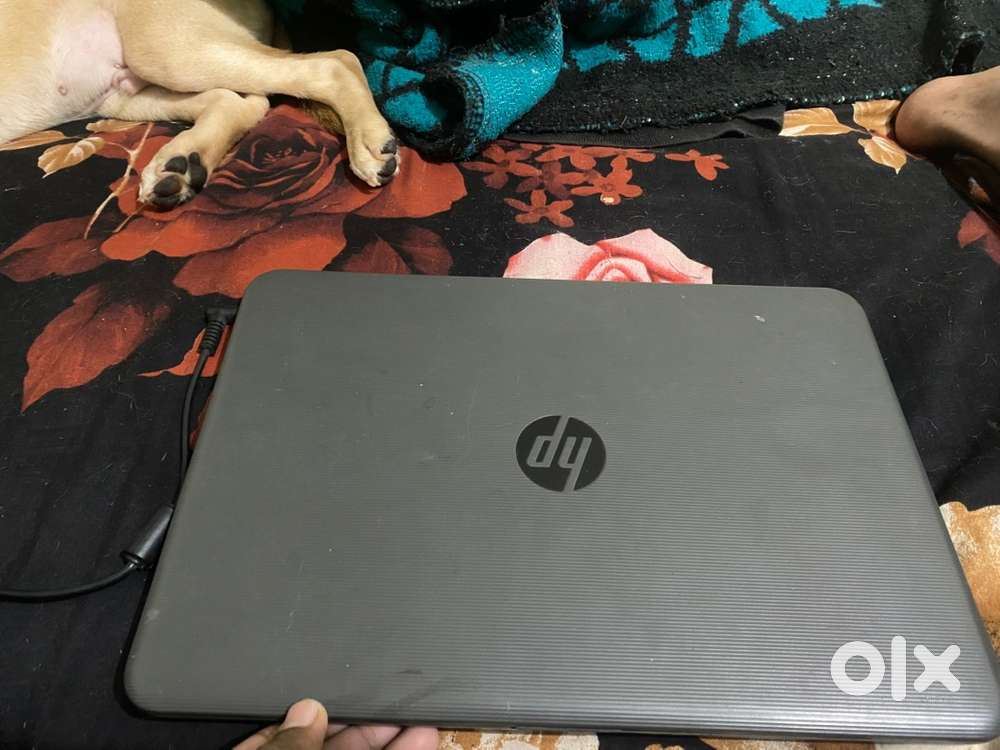Hp laptop core i3