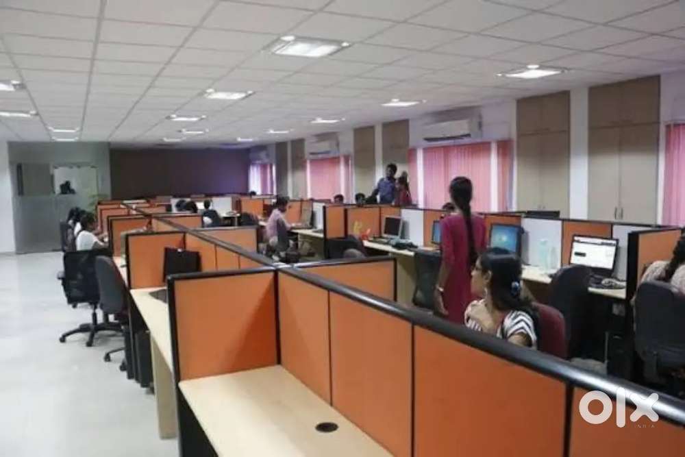 Freshers And Experience candidate Basic on office work