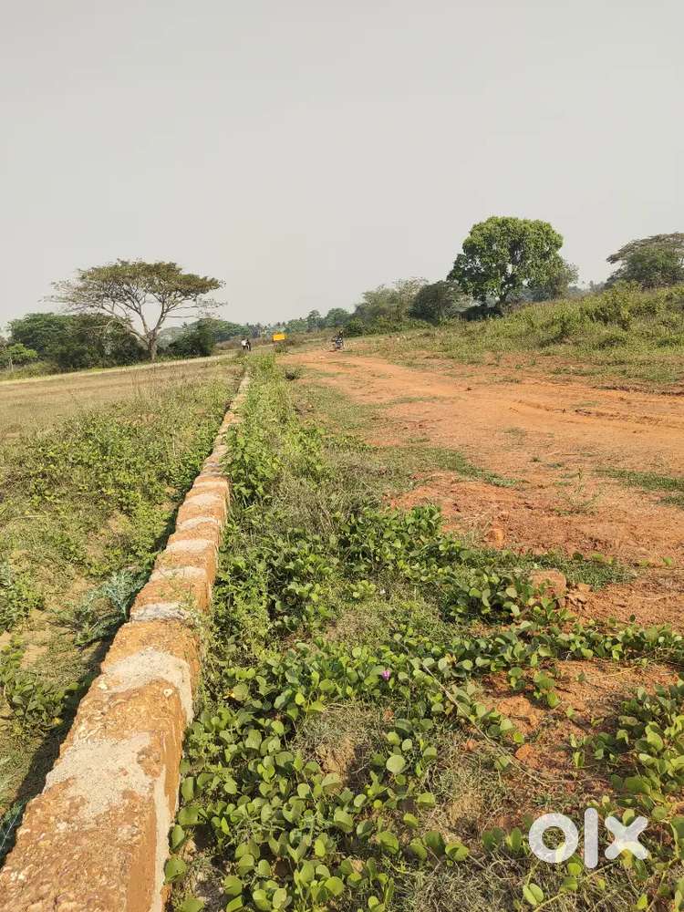 Plot for sale near Ranga bazar bjm2school back site