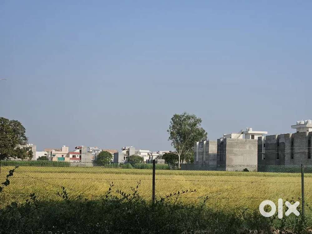 100–500 Sq.Yards Plots for Sale  East & North Facing  New Chandigarh