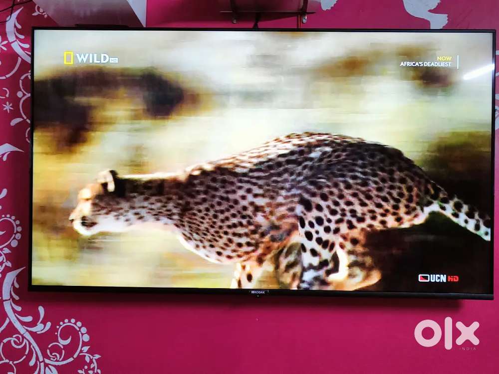 Android Tv 55 inch