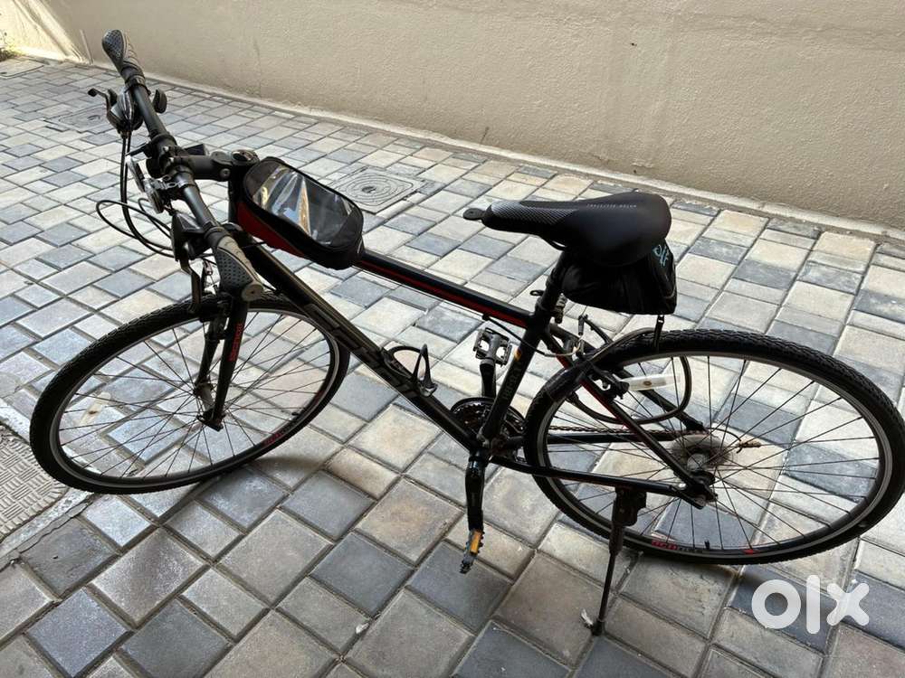 High-Quality Scholl Brand Bicycle with Stationary Cycling Stand