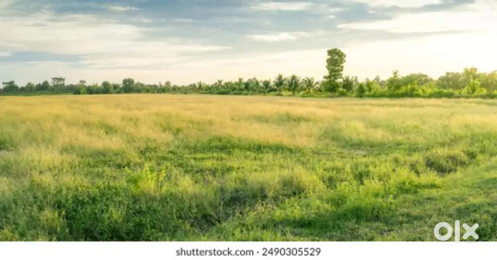 Shamsia layout (colony) plot for sale near to green palace function ha