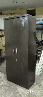 Well designed two door wardrobe for 3999