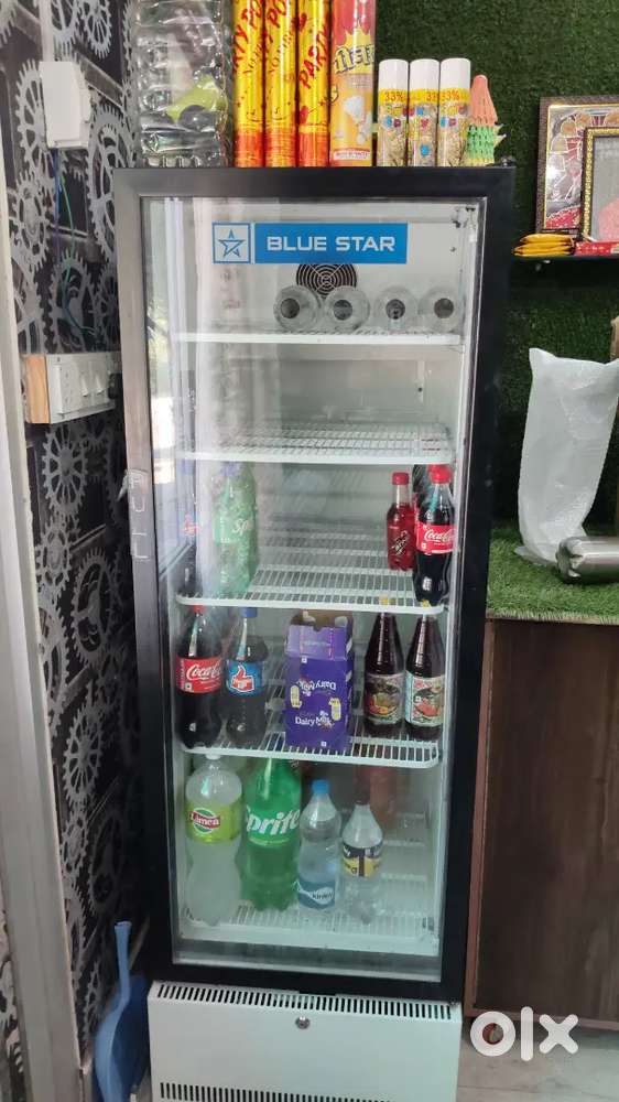 Blue star fridge