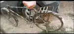 2 year old cycle