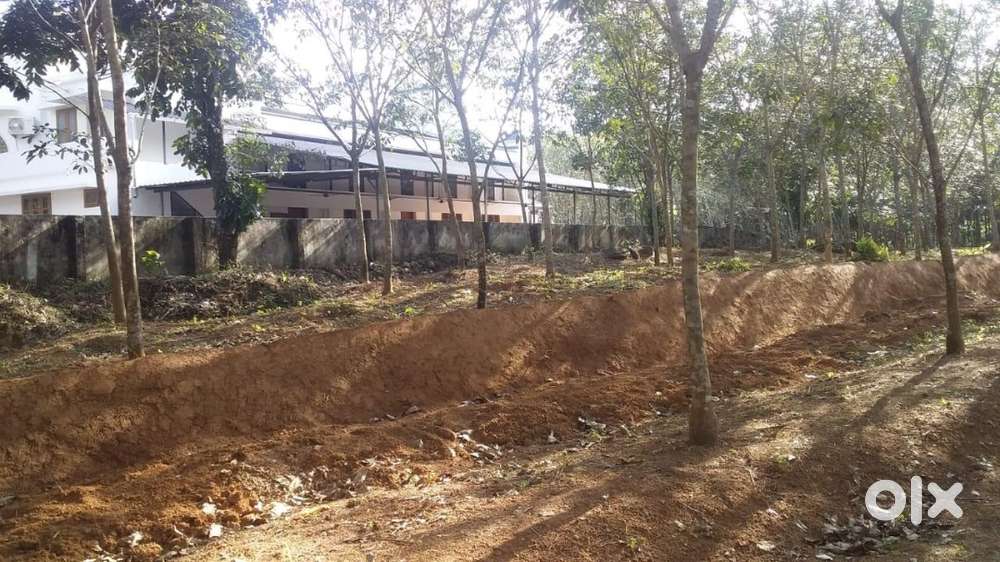 71 cents rubber plantation for sale kulutupuzha