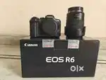 Canon R6 and 24-105 lens