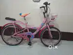Good cycle 12 year