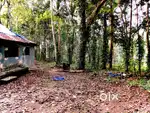 18 Cent Residential/Commercial Plot for Sale near Pothencode Junction,