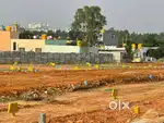 Premium plots