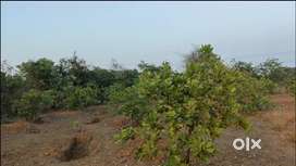 1 acre land for 20 lkh