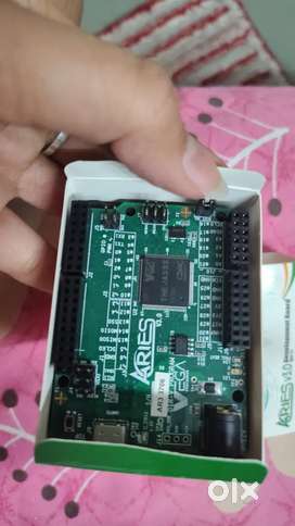 Development board