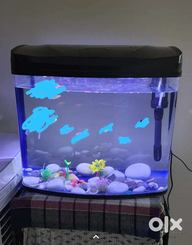 Beautiful Aquarium