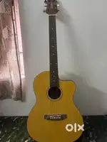 Ashton Guitar