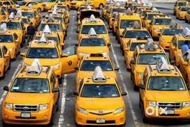 TAXI DRIVER