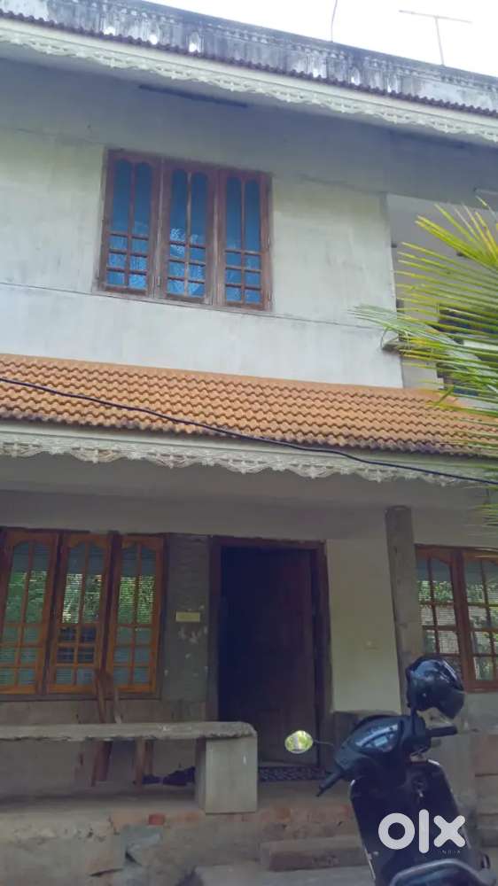 house for rent  3 bedroom 2 bathroom 1kichen 1hall 1sitout