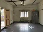 We have dogs